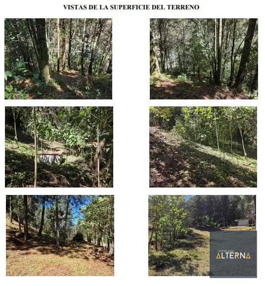 Terreno con espacios fotograficos ideal para negocio — Terreno en Alquiler en Tecpán, Chimaltenango — foto 2 de 4