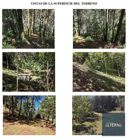 Terreno en Renta para Desarrollo Turistico en Tecpan — Terreno en Alquiler en Tecpán, Chimaltenango — foto 3 de 5