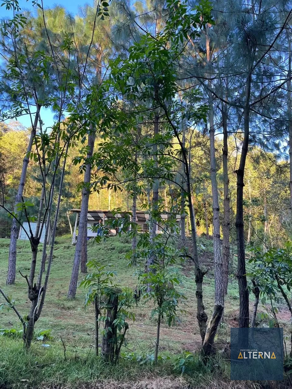 Terreno en Renta para Desarrollo Turistico en Tecpan — Terreno en Alquiler en Tecpán, Chimaltenango — foto 1 de 5