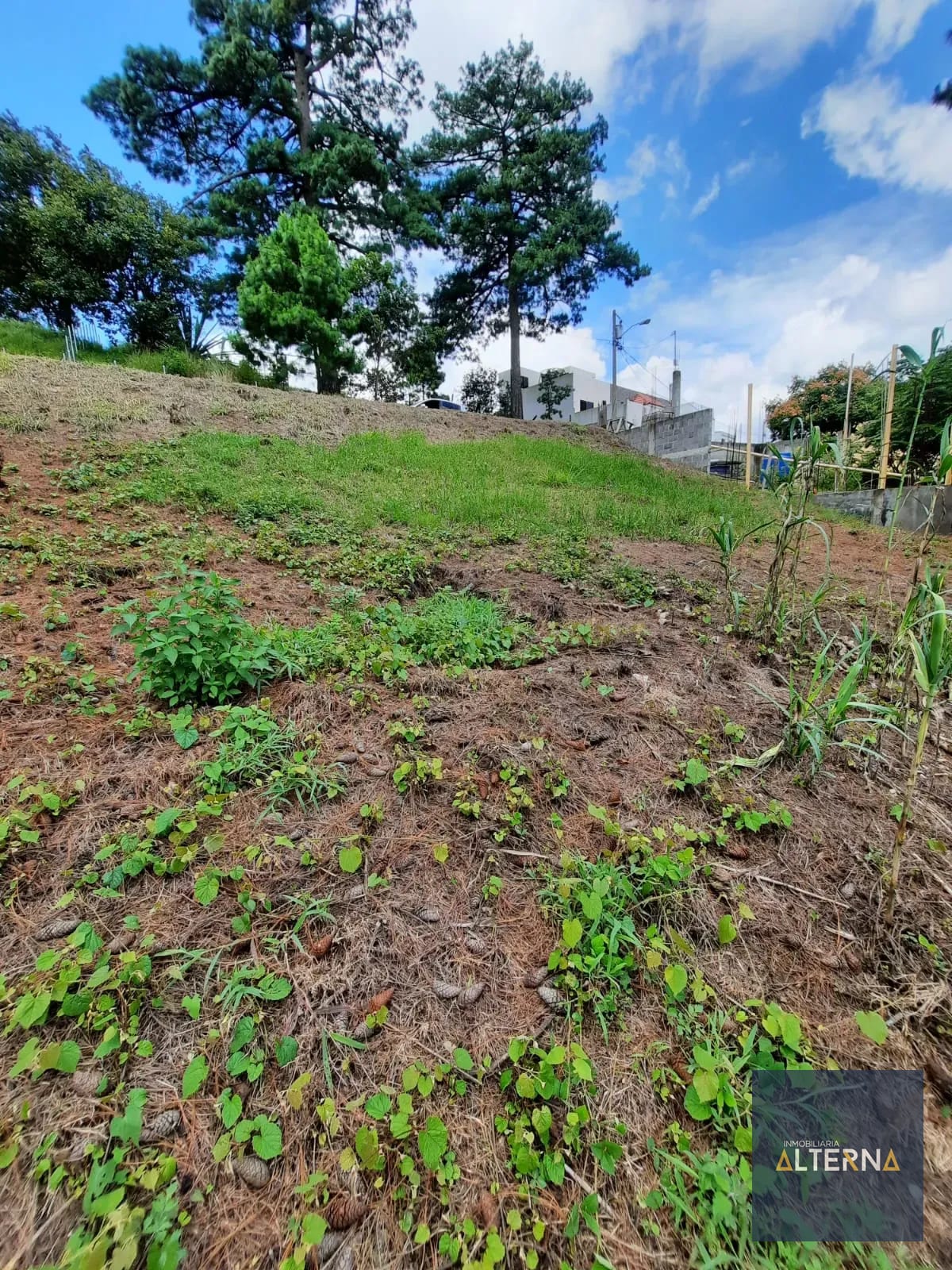 Terreno en Venta en Condominio Peña Dorada Zona 16 — Terreno en Venta en Zona 16, Guatemala, Ciudad — foto 2 de 9