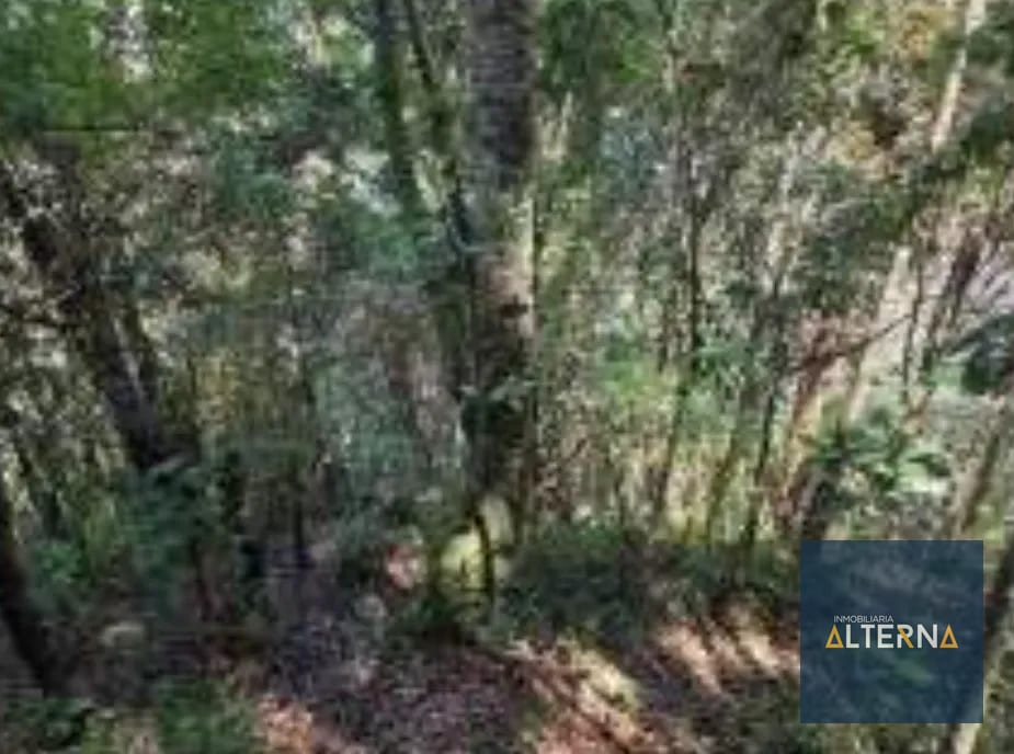 OPORTUNIDAD EN AGUA ESCONDIDA Terreno en renta para Camping o Glamping — Apartamento en Alquiler en Tecpán, Chimaltenango — foto 7 de 12