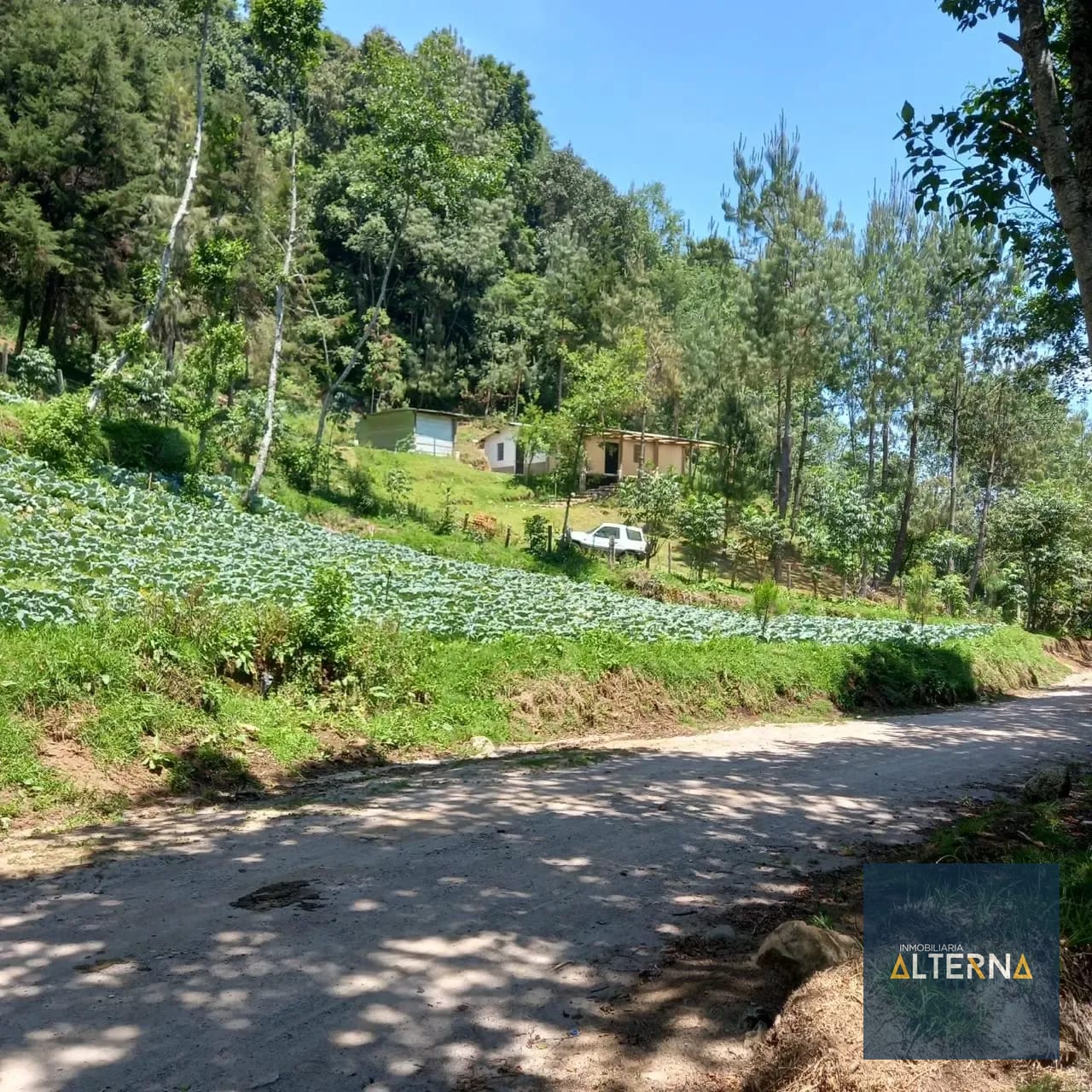OPORTUNIDAD EN AGUA ESCONDIDA Terreno en renta para Camping o Glamping — Apartamento en Alquiler en Tecpán, Chimaltenango — foto 10 de 12