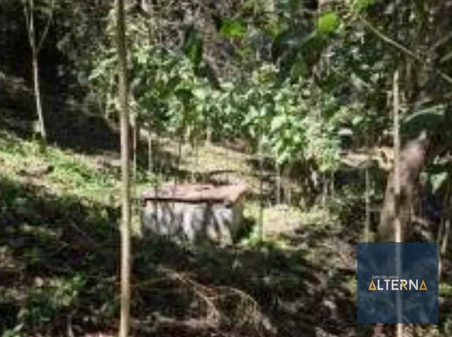 TERRENO EN RENTA EN TECPAN Ideal para parque Ecológico — Terreno en Alquiler en Tecpán, Chimaltenango — foto 5 de 11