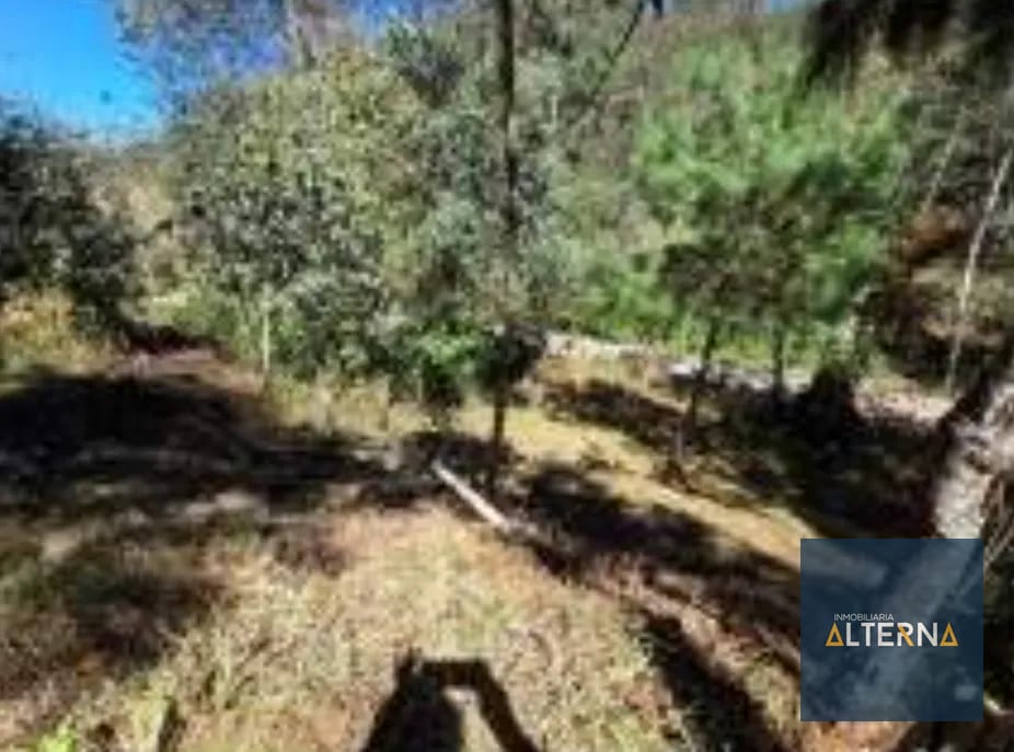 TERRENO EN RENTA EN TECPAN Ideal para parque Ecológico — Terreno en Alquiler en Tecpán, Chimaltenango — foto 6 de 11