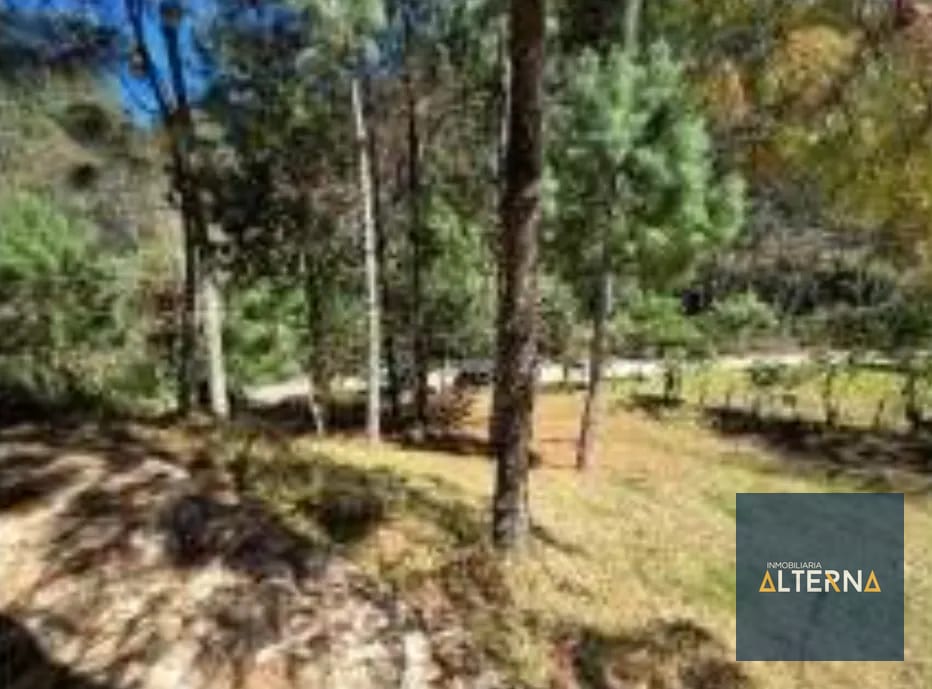 TERRENO EN RENTA EN TECPAN Ideal para parque Ecológico — Terreno en Alquiler en Tecpán, Chimaltenango — foto 8 de 11