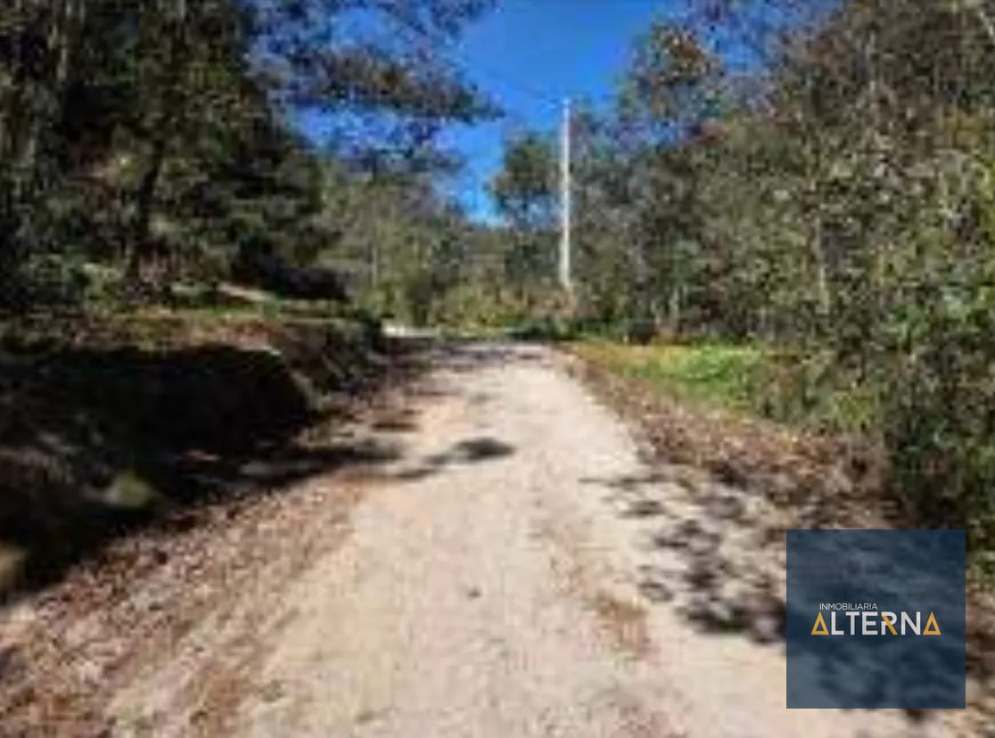 TERRENO EN RENTA EN TECPAN Ideal para parque Ecológico — Terreno en Alquiler en Tecpán, Chimaltenango — foto 9 de 11