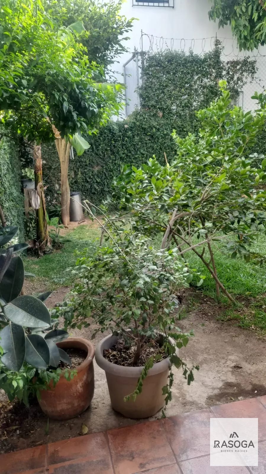 Casa en Renta en Zona 15 Vivienda/oficina — Casa en Alquiler en Zona 15, Guatemala, Ciudad — foto 3 de 12