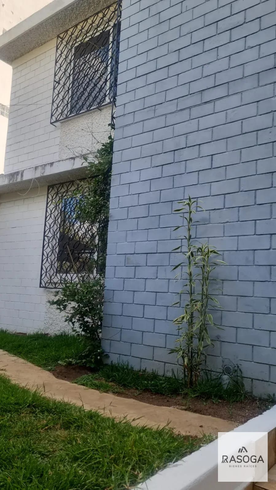 Casa en Renta en Zona 15 Vivienda/oficina — Casa en Alquiler en Zona 15, Guatemala, Ciudad — foto 6 de 12