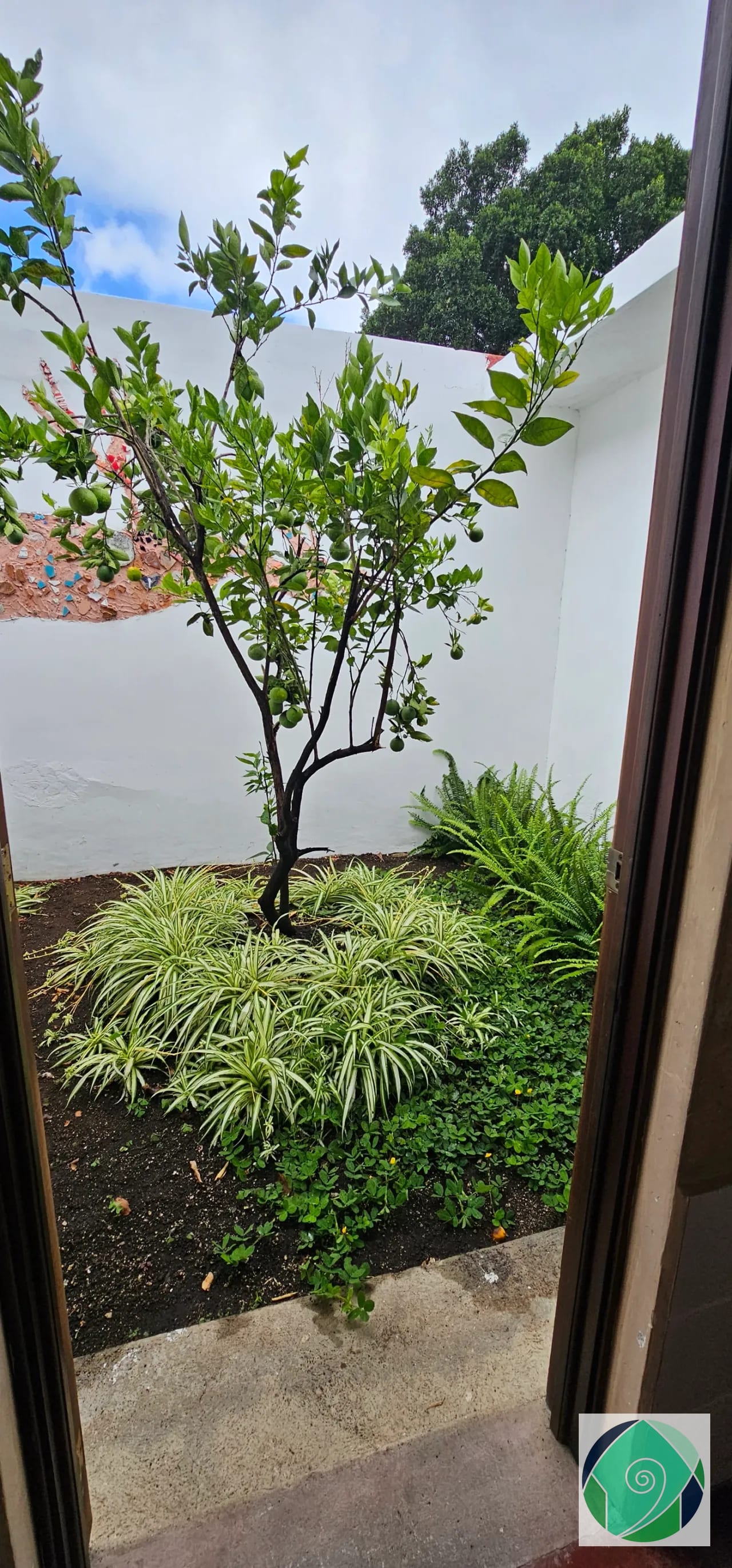 Alquiler casa con espectacular jardín en San Pedro el Alto, Antigua — Casa en Alquiler en San Pedro Las Huertas, Antigua, Sacatepéquez — foto 13 de 17