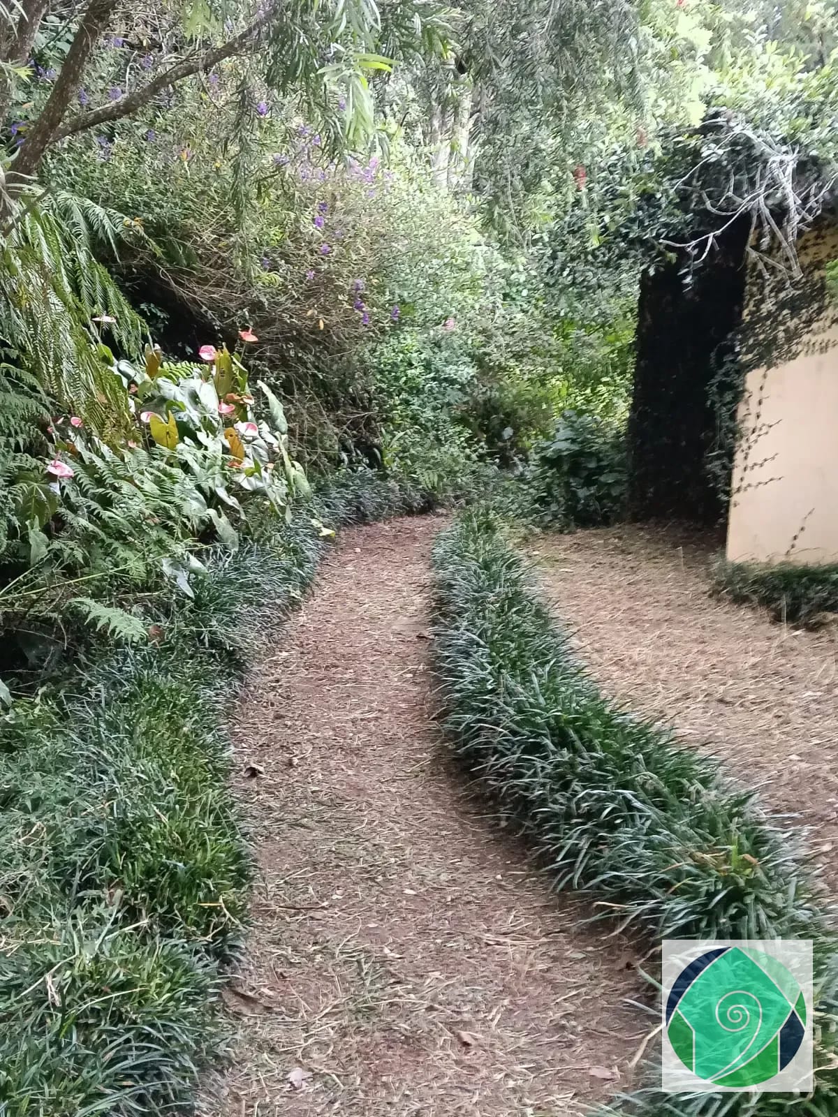 Alquiler casa en km 16.5 Carr. a el Salvador — Casa en Alquiler en Lomas de San Rafael, Carretera a El Salvador, Guatemala, Ciudad — foto 9 de 9