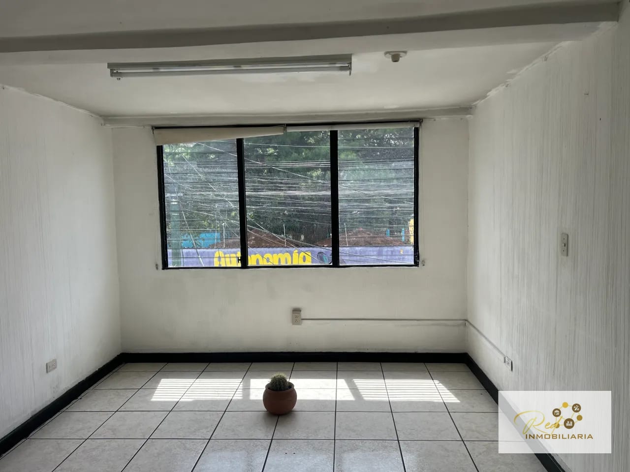 Edificio de 4 niveles 🏢 — Zona 9, Ciudad Capital — Edificio en Venta en Zona 9, Guatemala, Ciudad — foto 12 de 17
