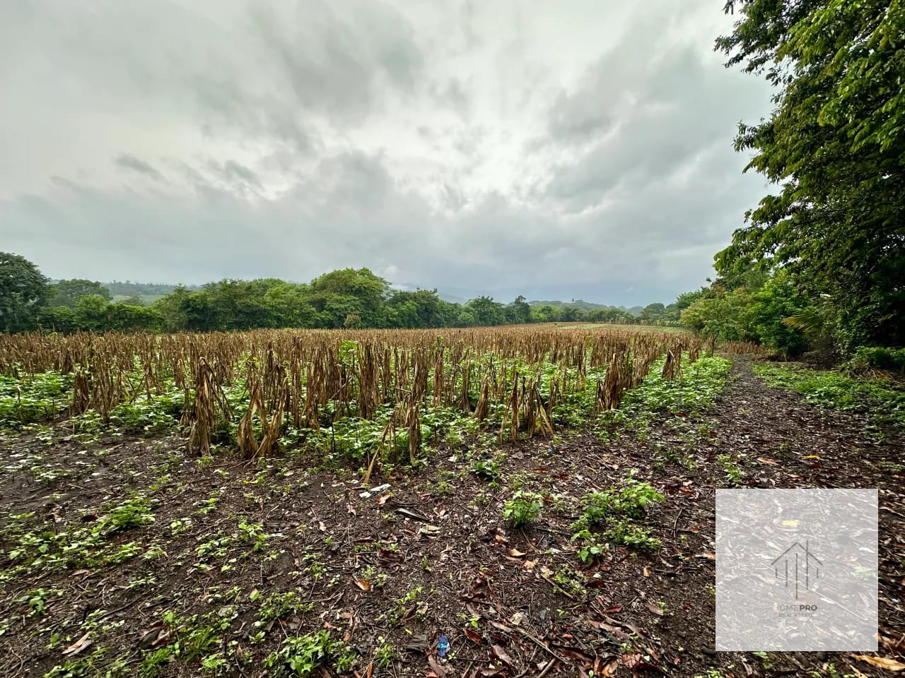 Terreno en Venta en El Jocotillo, Villa Canales. — Terreno en Venta en Villa Canales, Guatemala, Ciudad — foto 3 de 15