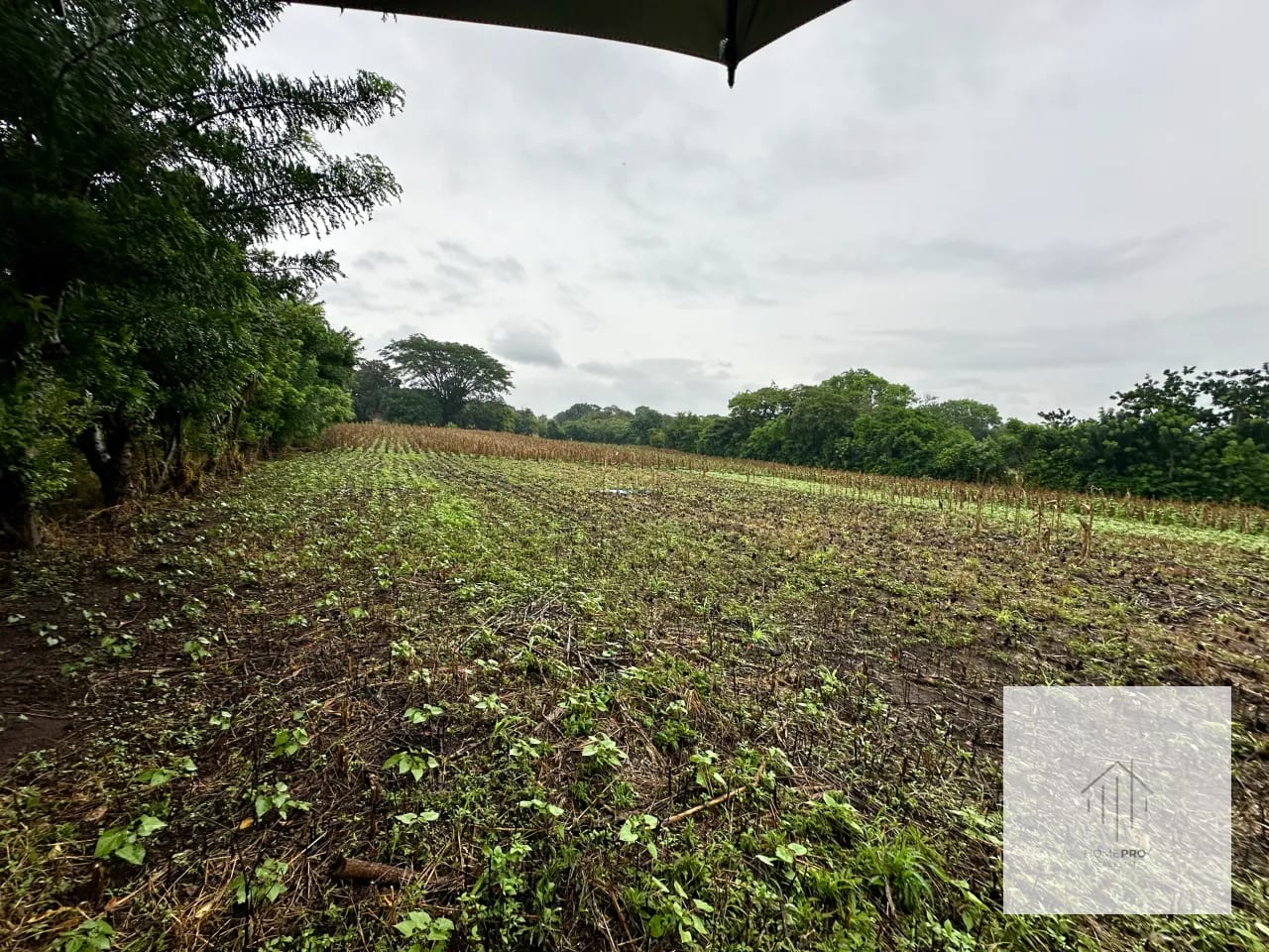Terreno en Venta en El Jocotillo, Villa Canales. — Terreno en Venta en Villa Canales, Guatemala, Ciudad — foto 8 de 15