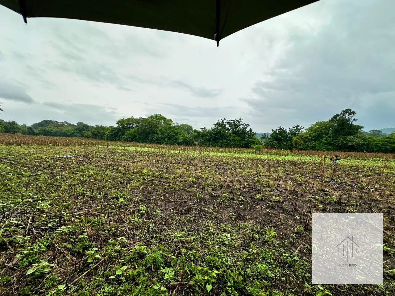 Terreno en Venta en El Jocotillo, Villa Canales. — Terreno en Venta en Villa Canales, Guatemala, Ciudad — foto 9 de 15