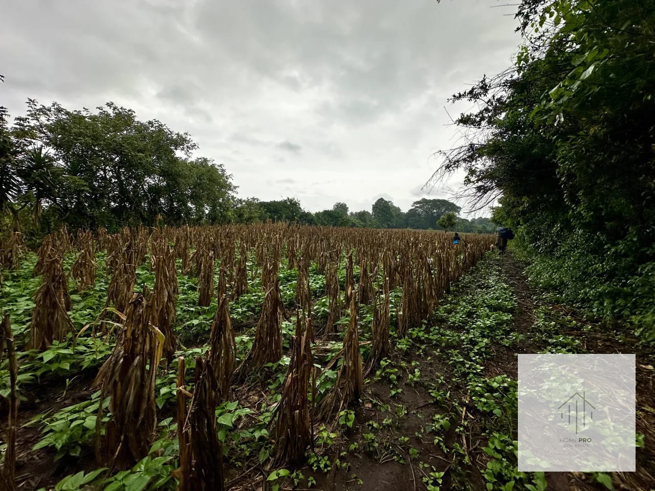 Terreno en Venta en El Jocotillo, Villa Canales. — Terreno en Venta en Villa Canales, Guatemala, Ciudad — foto 14 de 15