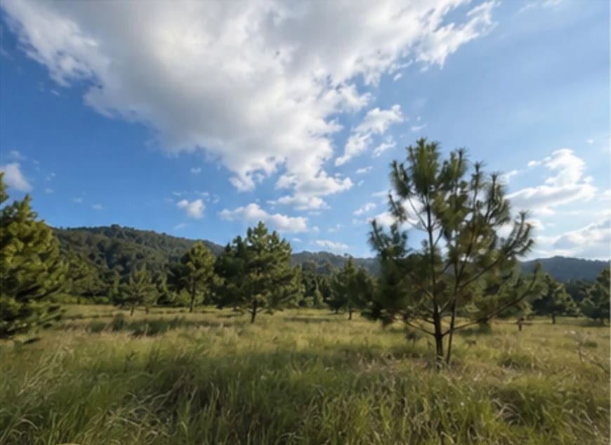 Terreno en La Reserva, Pulté Ecuestre — Terreno en Venta en El Pulté Ecuestre, Zona 16, Guatemala, Ciudad — foto 1 de 2