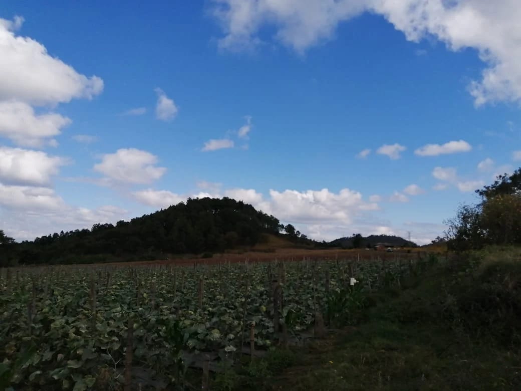 Terreno en venta zona 18 cercano a Los Olivos 96 manzanas, Las Tapias — Terreno en Venta en Zona 18, Guatemala, Ciudad — foto 2 de 8