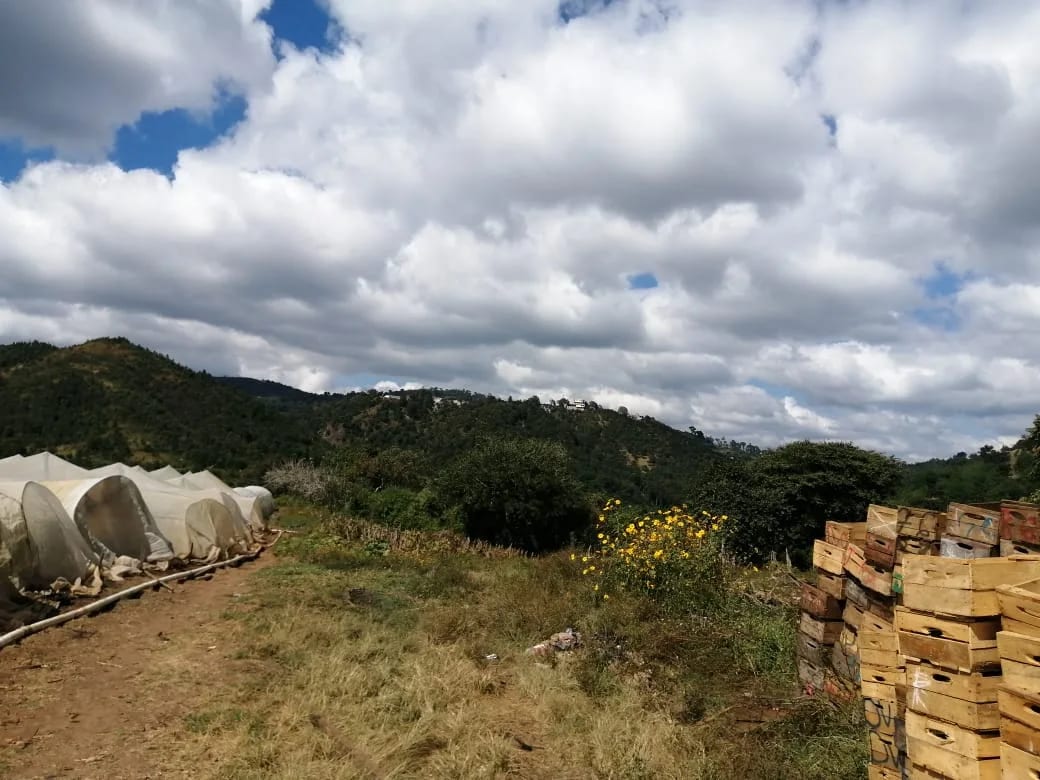 Terreno en venta zona 18 cercano a Los Olivos 96 manzanas, Las Tapias — Terreno en Venta en Zona 18, Guatemala, Ciudad — foto 1 de 8