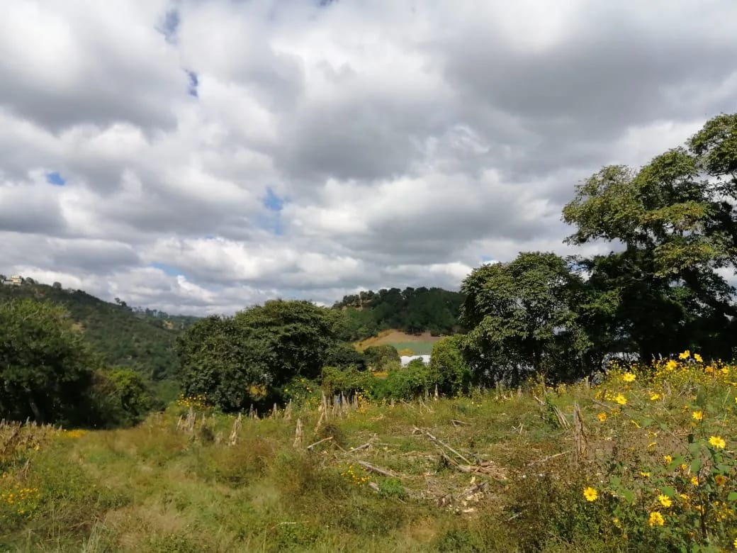 Terreno en venta zona 18 cercano a Los Olivos 96 manzanas, Las Tapias — Terreno en Venta en Zona 18, Guatemala, Ciudad — foto 4 de 8
