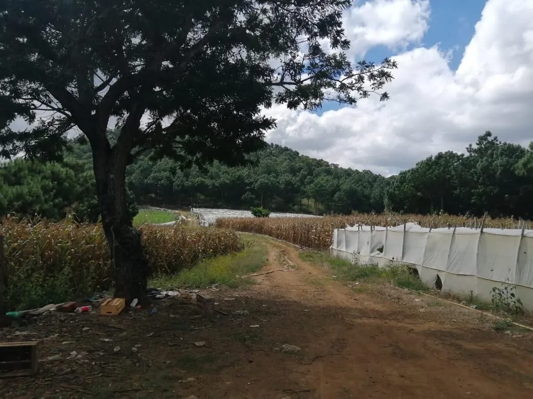 Terreno en venta zona 18 cercano a Los Olivos 96 manzanas, Las Tapias — Terreno en Venta en Zona 18, Guatemala, Ciudad — foto 5 de 8