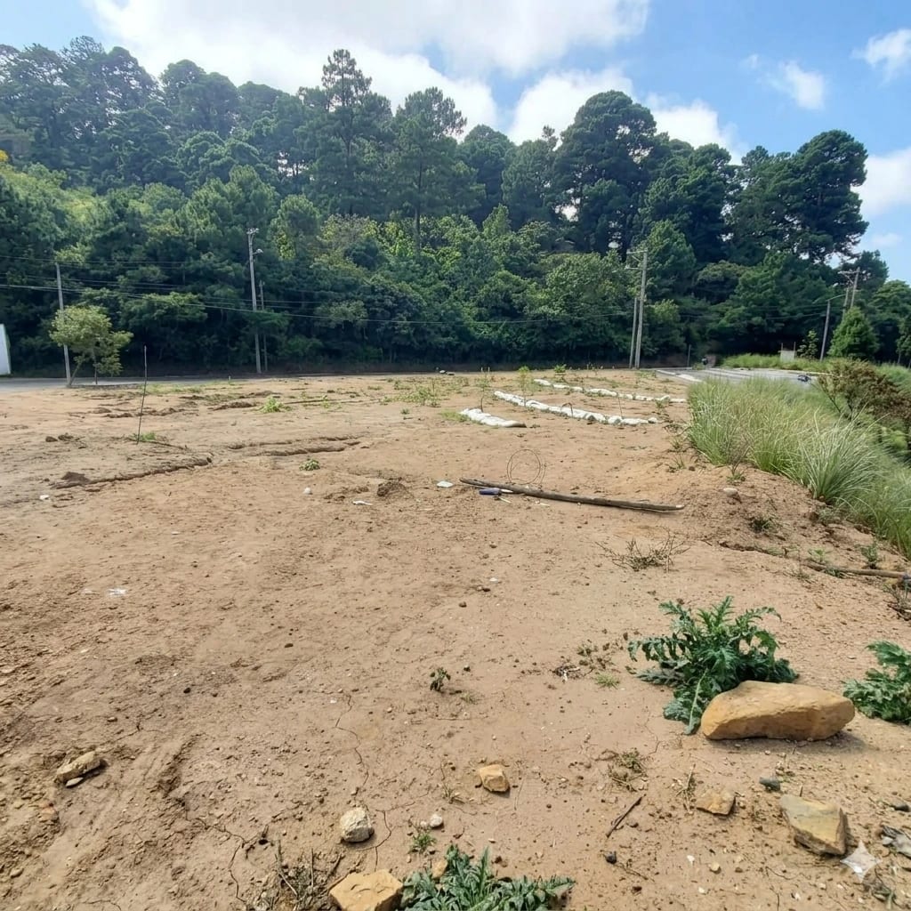 Terreno en renta zona 16 Vista Hermosa 4 con 13,400 v² por Cond Vistas — Terreno en Alquiler en Vistas de San Isidro, Zona 16, Guatemala, Ciudad — foto 1 de 13