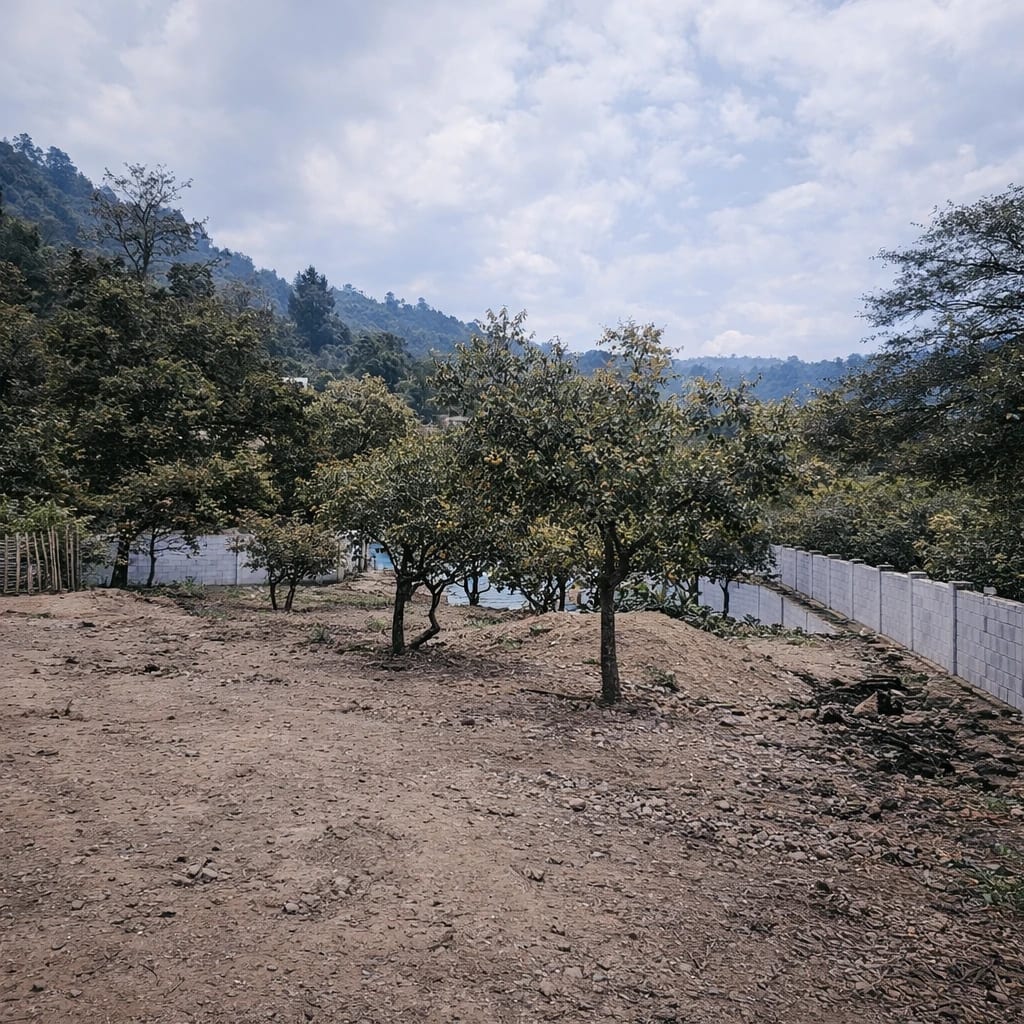 Terreno en venta Santo Domingo Xenacoj Sacatepéquez 4,181 v2 planas — Terreno en Venta en Santo Domingo Xenacoj, Sacatepéquez — foto 3 de 6
