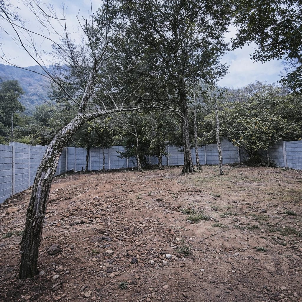 Terreno en venta Santo Domingo Xenacoj Sacatepéquez 4,181 v2 planas — Terreno en Venta en Santo Domingo Xenacoj, Sacatepéquez — foto 6 de 6
