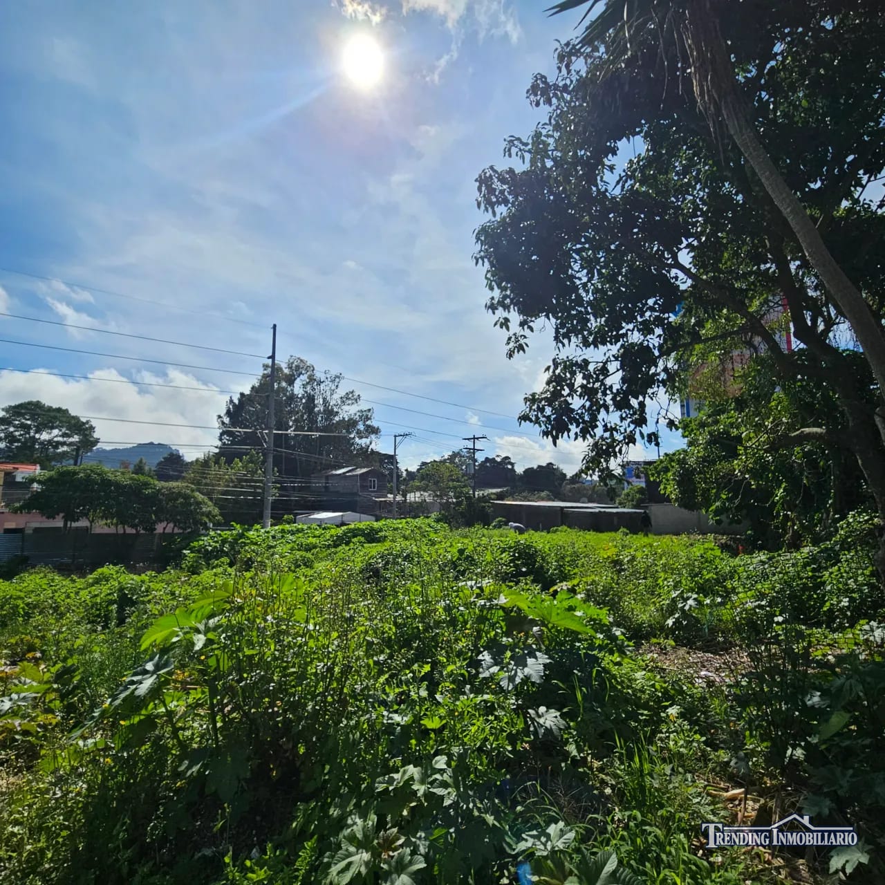 Terreno en venta km 14.5 Carretera a El Salvador 2,000 v² comercial — Terreno en Venta en Carretera a El Salvador, Guatemala, Ciudad — foto 7 de 8
