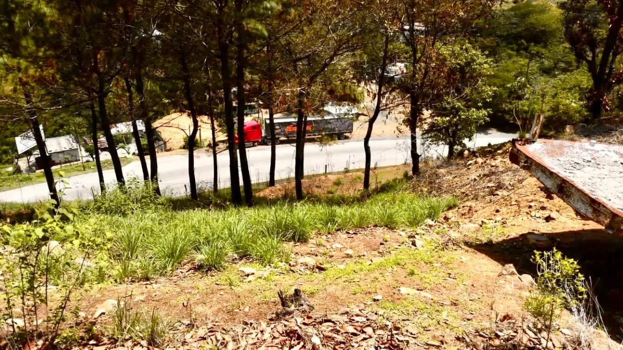 Km 36 Ruta al Atlántico • Terreno en Renta/Venta • El Progreso — Terreno en Alquiler en San Antonio La Paz, El Progreso — foto 3 de 10