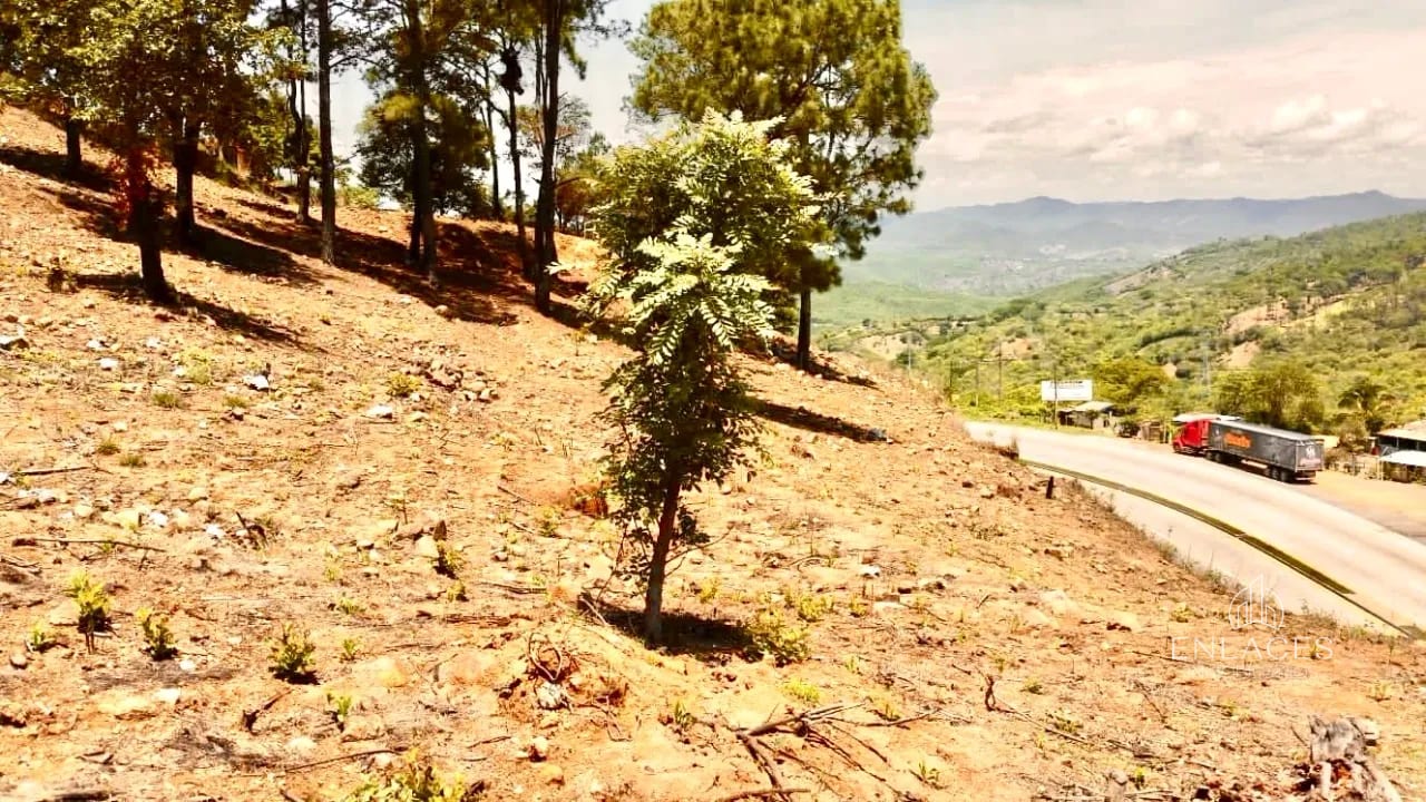 Km 36 Ruta al Atlántico • Terreno en Renta/Venta • El Progreso — Terreno en Alquiler en San Antonio La Paz, El Progreso — foto 4 de 10