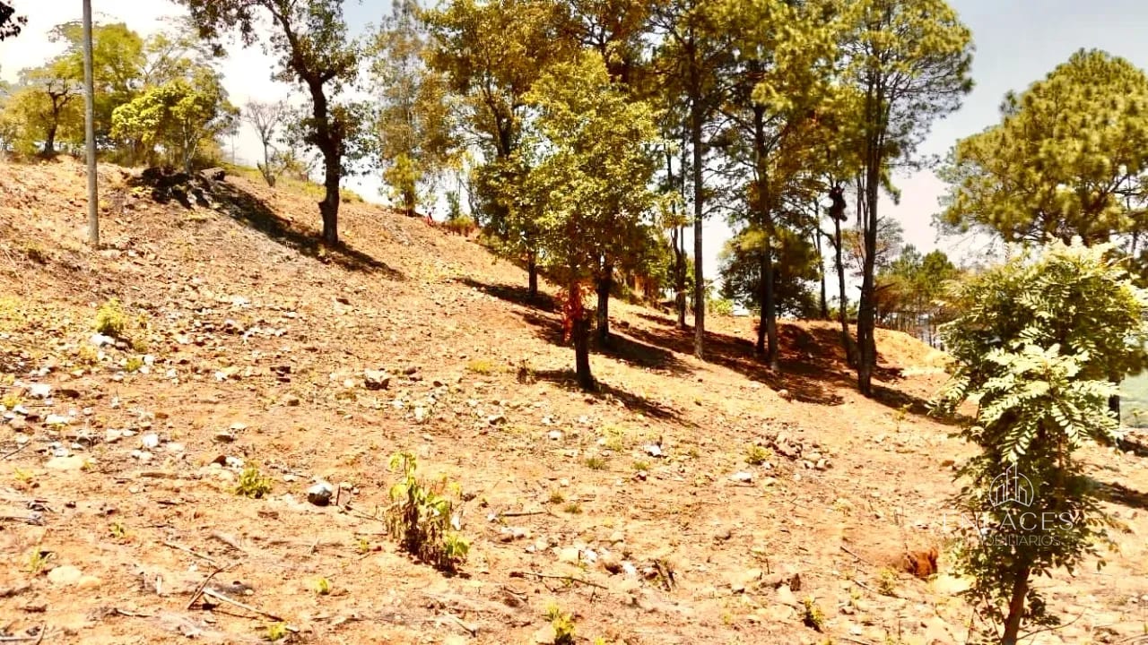 Km 36 Ruta al Atlántico • Terreno en Renta/Venta • El Progreso — Terreno en Alquiler en San Antonio La Paz, El Progreso — foto 2 de 10