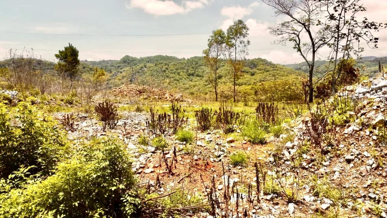 Km 36 Ruta al Atlántico • Terreno en Renta/Venta • El Progreso — Terreno en Alquiler en San Antonio La Paz, El Progreso — foto 7 de 10