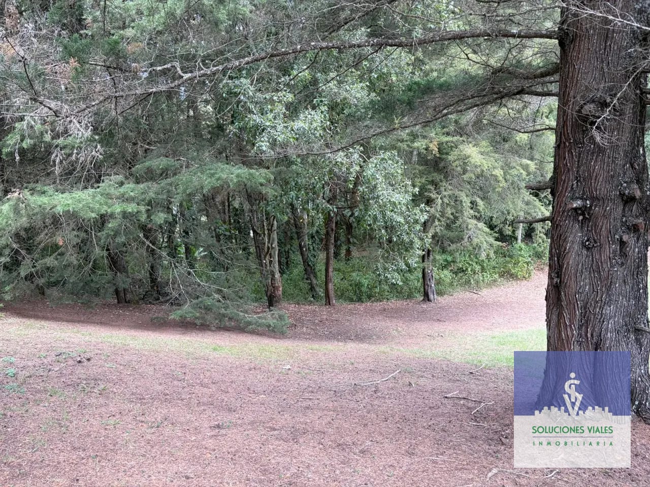 Hacienda Nueva Country Club, Terreno en Venta — Terreno en Venta en Hacienda Nueva, San José Pinula, Guatemala, Ciudad — foto 4 de 9