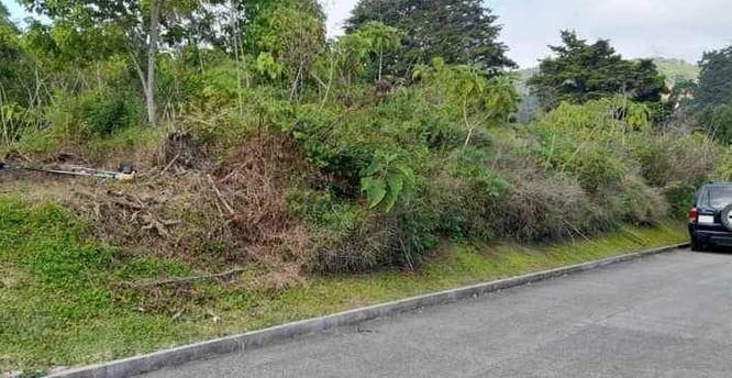 TERRENO CASA Y CAMPO PLANO EN KM 23.5 CARRETERA A EL SALVADOR — Terreno en Venta en Carretera a El Salvador, Guatemala, Ciudad — foto 5 de 9