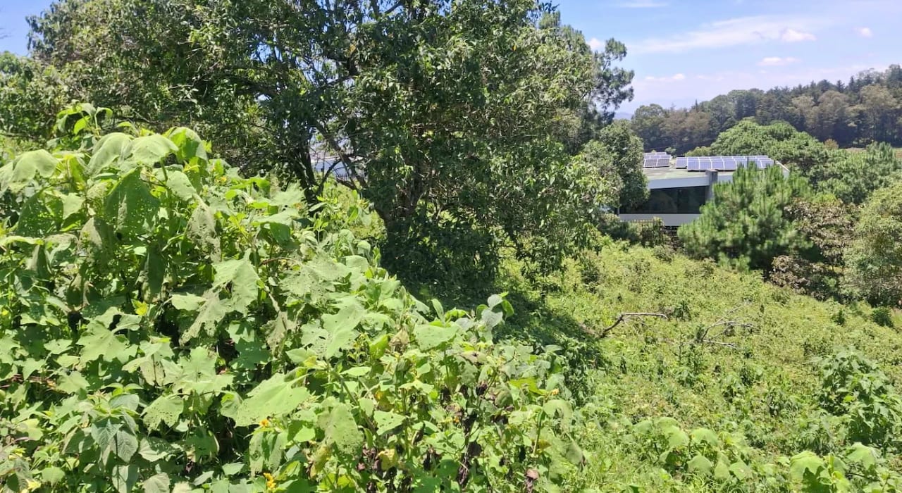 El Pulte Ecuestre Terreno Semi Plano en Venta Zona 16 — Terreno en Venta en Zona 16, Guatemala, Ciudad — foto 2 de 7