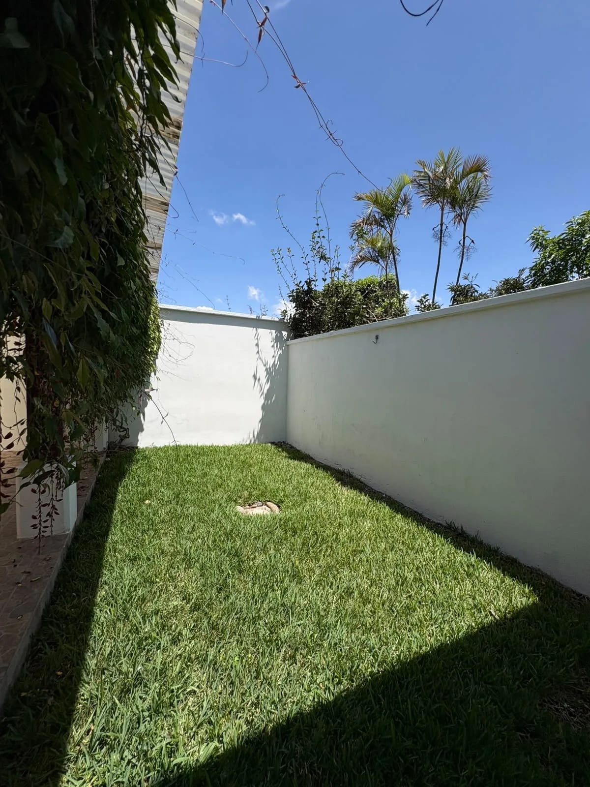 Jardines de San Isidro Casa en Zona 16 en Renta — Casa en Alquiler en Jardines de San Isidro, Zona 16, Guatemala, Ciudad — foto 10 de 11