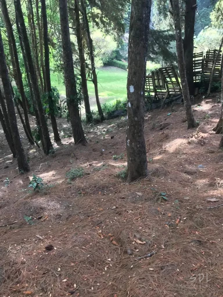 Muxbal — Terreno en Venta en Muxbal, Guatemala, Ciudad — foto 3 de 3