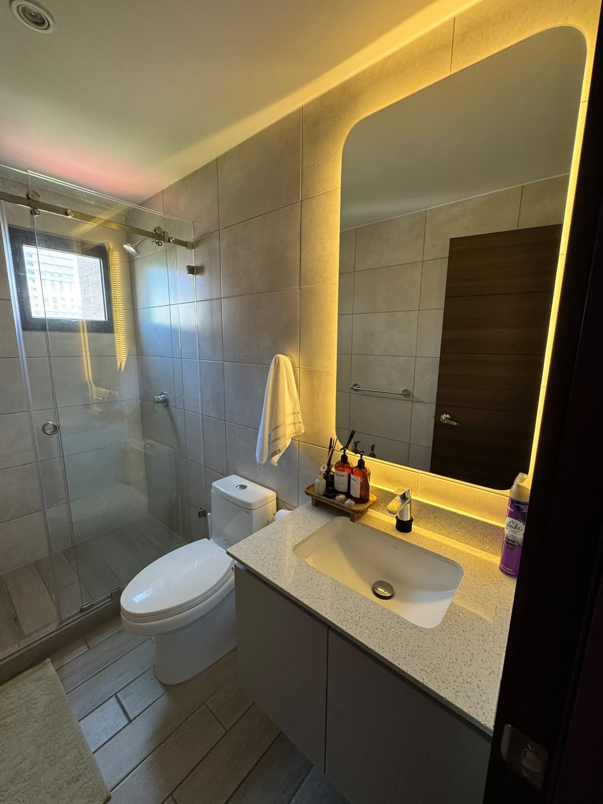 Amueblado en zona 10 — Apartamento en Alquiler en Parque 10, Zona 10, Guatemala, Ciudad — foto 2 de 12