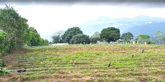 Terreno en Venta en Milpas Altas KM 28.5 de Villa Nueva Hacia Milpas Altas — Terreno en Venta en Santa Lucía Milpas Altas, Sacatepéquez — foto 2 de 4
