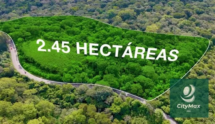 Inversión para Proyecto Inmobiliario - Terreno Rústico en Venta — Terreno en Venta en Barberena, Santa Rosa — foto 1 de 3