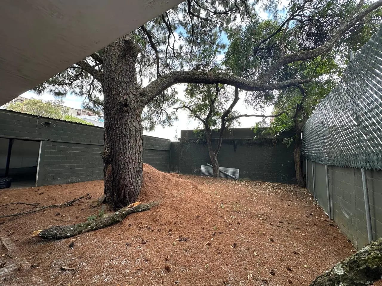 Casa en venta en zona 13 — Casa en Venta en Zona 13, Guatemala, Ciudad — foto 10 de 14