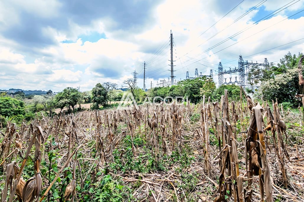 Terreno en Km 17 Carretera a El Salvador — Terreno en Alquiler en Carretera a El Salvador, Guatemala, Ciudad — foto 6 de 10