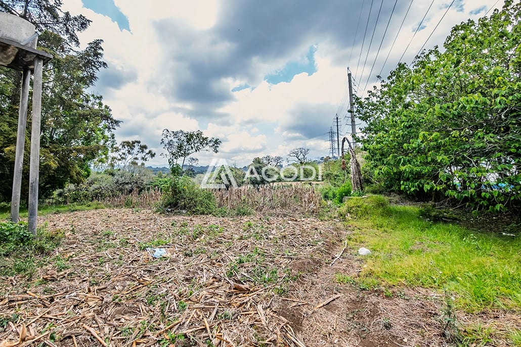 Terreno en Km 17 Carretera a El Salvador — Terreno en Alquiler en Carretera a El Salvador, Guatemala, Ciudad — foto 7 de 10