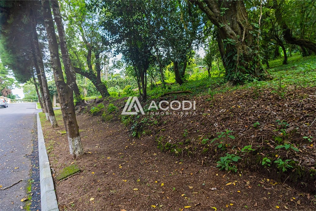 Terreno residencial en Fraijanes — Terreno en Venta en Carretera a El Salvador, Guatemala, Ciudad — foto 6 de 8