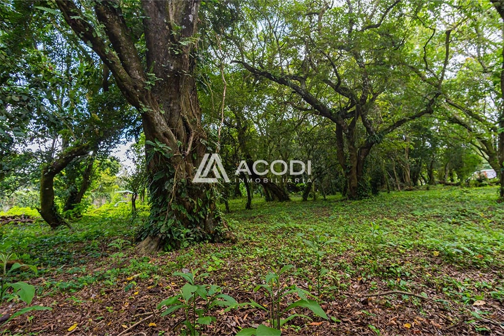 Terreno residencial en Fraijanes — Terreno en Venta en Carretera a El Salvador, Guatemala, Ciudad — foto 7 de 8