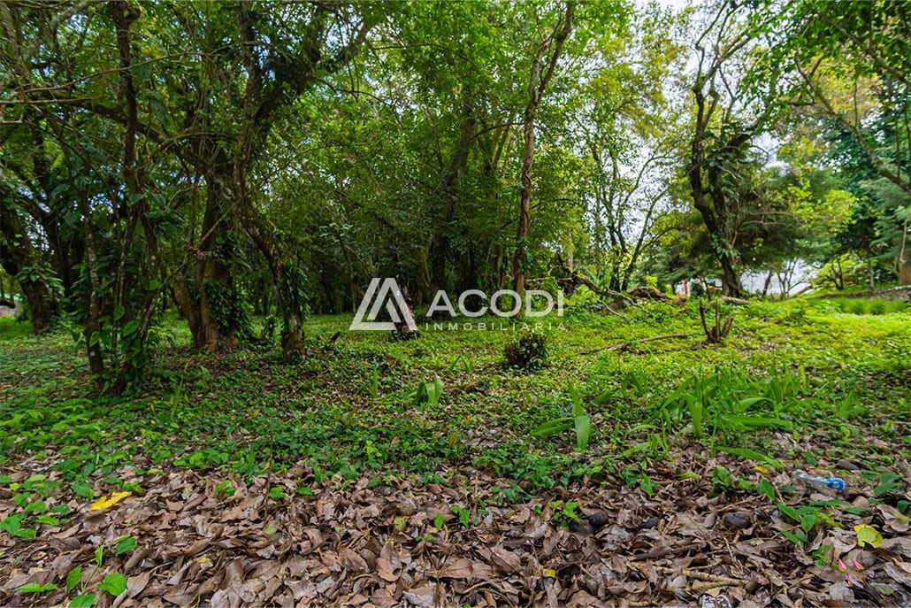 Terreno residencial en Fraijanes — Terreno en Venta en Carretera a El Salvador, Guatemala, Ciudad — foto 8 de 8