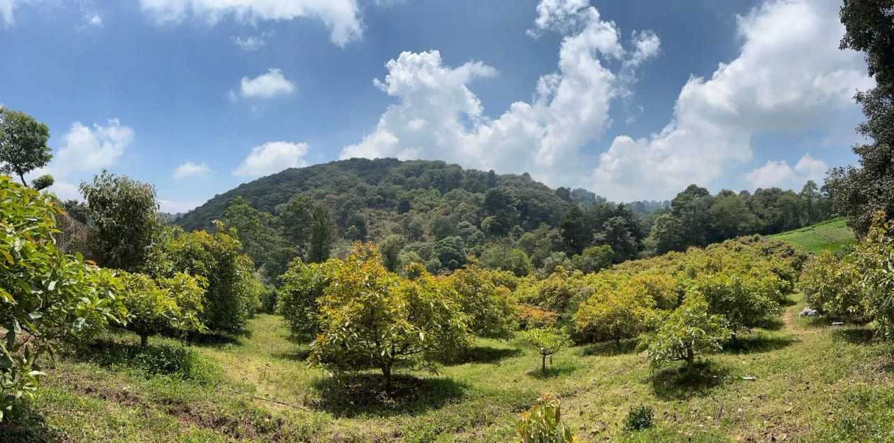 Terreno en Santiago Sacatepéquez — Terreno en Venta en Santiago Sacatepéquez, Sacatepéquez — foto 3 de 10