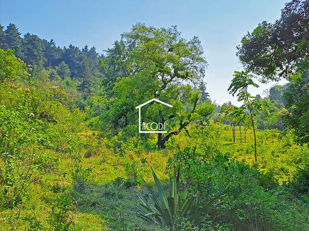 Terreno en El Pajón, Santa Catarina Pinula — Terreno en Venta en Santa Catarina Pinula, Guatemala, Ciudad — foto 3 de 4