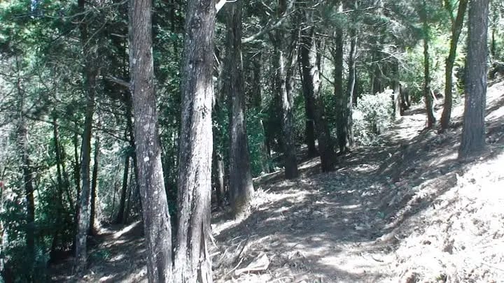 Propiedad en Santa Elena Barillas — Finca en Venta en Villa Canales, Guatemala, Ciudad — foto 1 de 5