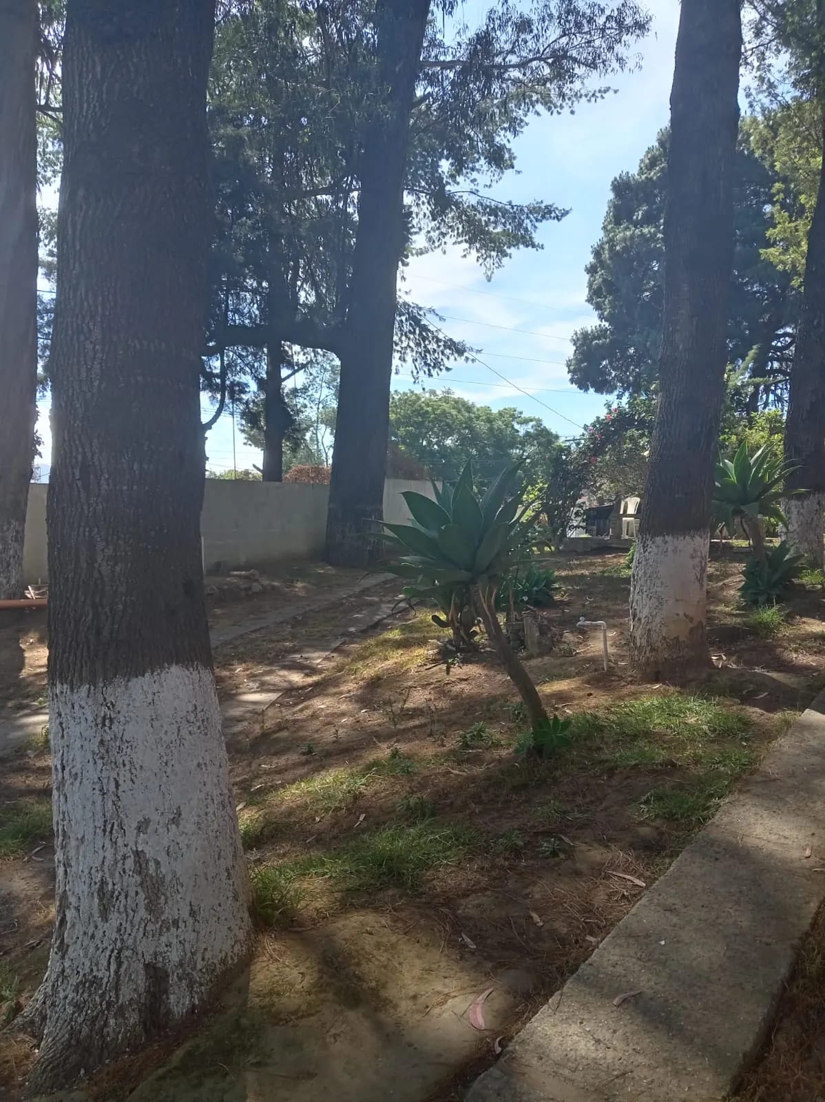 Granja en Km 32 San Bartolomé Milpas Altas, Sacatepéquez — Finca en Alquiler en San Bartolomé Milpas Altas, Sacatepéquez — foto 3 de 4